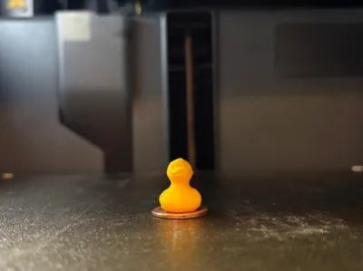 small duck 
