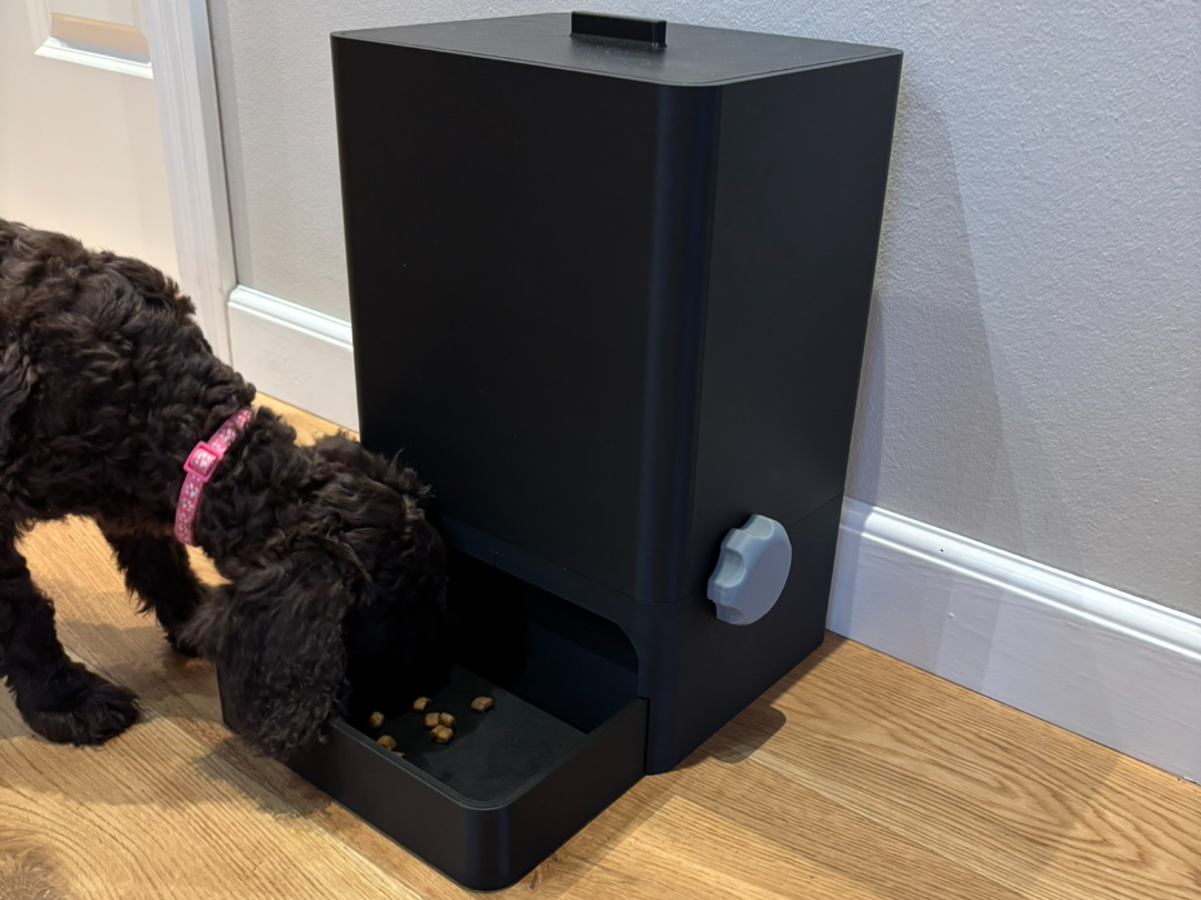 Pet food dispenser - 100 ml servings