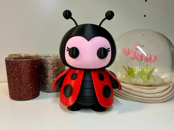 https://makerworld.bblmw.com/makerworld/model/US6cd6c73f423896/design/2025-05-08_1b384bb40642c.jpg