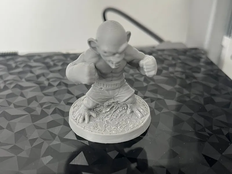 fighting monkey