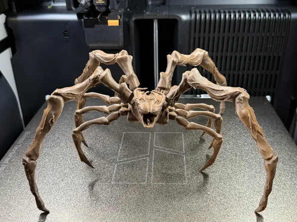 https://makerworld.bblmw.com/makerworld/model/US6cda55771957e7/design/f54f8781b4eec29a.jpeg