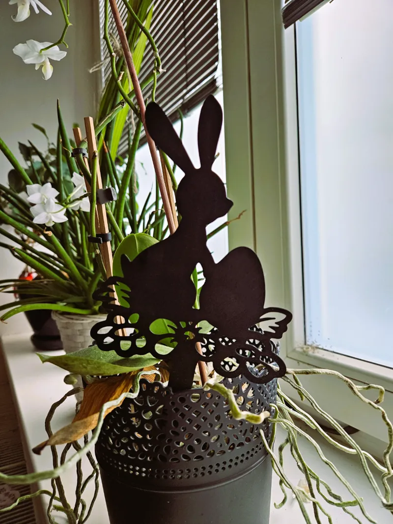 Easter bunny 001