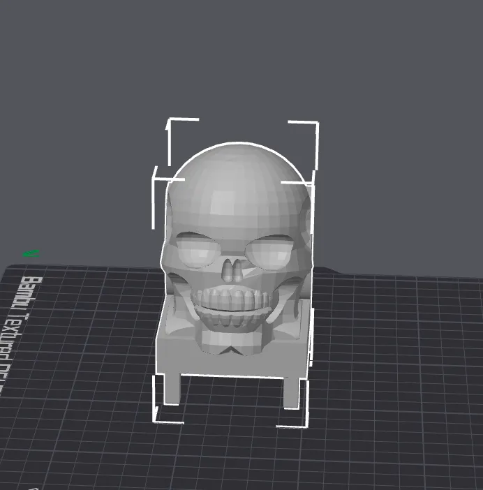 Skull on a Chair