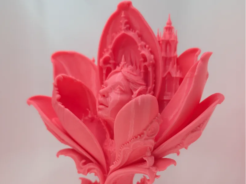 The Wondering Magnolia