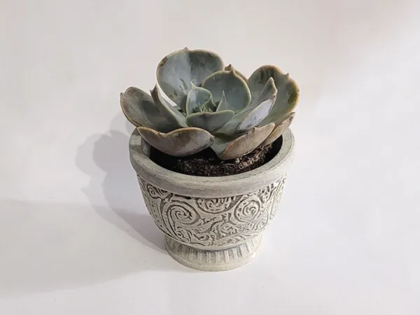 https://makerworld.bblmw.com/makerworld/model/US6ce22db09891c/design/2024-10-22_4b7c89fbfd108.png
