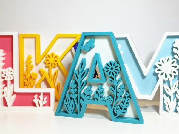 https://makerworld.bblmw.com/makerworld/model/US6ce6b18633259f/design/2025-09-19_eaa55e1346b078.jpg