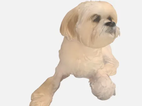 buffy the dog
