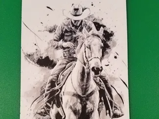 Cowboy on Horse