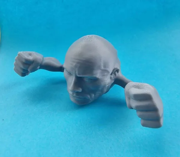 https://makerworld.bblmw.com/makerworld/model/US6ce8343218d7c1/design/2024-10-30_5b5651b9ebed3.jpg