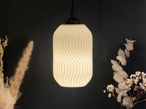 https://makerworld.bblmw.com/makerworld/model/US6ceafcafd46484/design/2025-01-21_952698cb656ed.jpeg