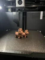0.2mm layer, 2 walls, 5% infill