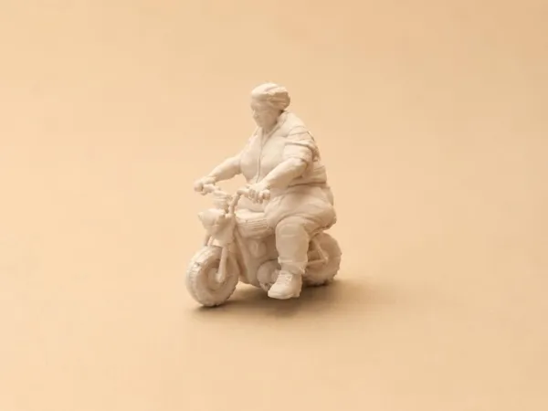 https://makerworld.bblmw.com/makerworld/model/US6cf4223b22754/design/b9e083adadeae42a.jpg