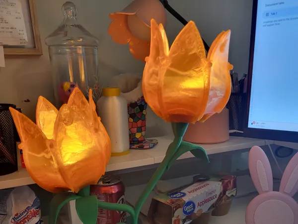 https://makerworld.bblmw.com/makerworld/model/US6cf54894902db4/design/2025-08-12_0588e6ca005f88.jpg