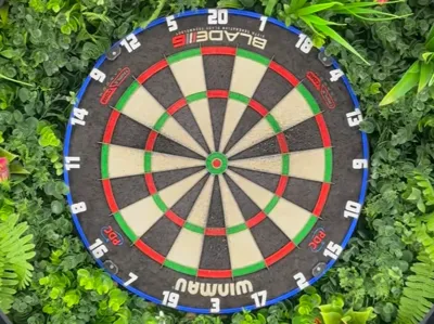 3D Number Ring in Autodarts Design, multicolor