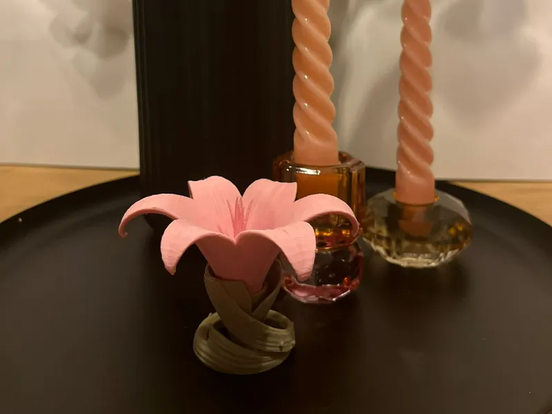 Lilie Frühlings Blume (no AMS)