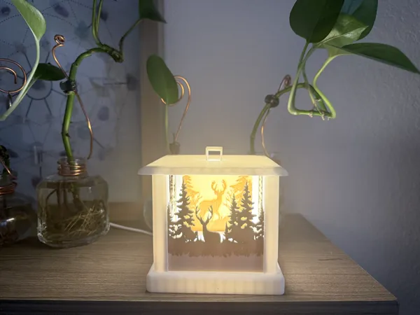 https://makerworld.bblmw.com/makerworld/model/US6cfa098c6a6115/design/2025-07-07_3d2ec775713038.jpeg