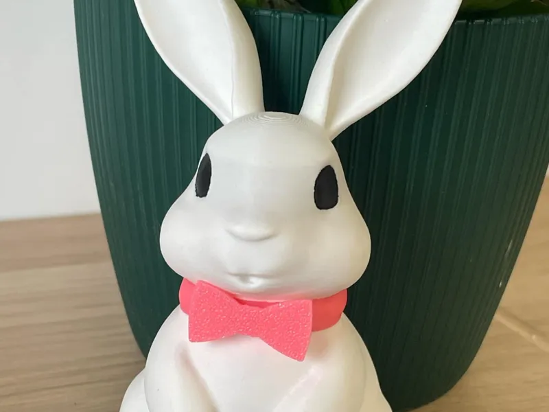 Easter bunny with sighn