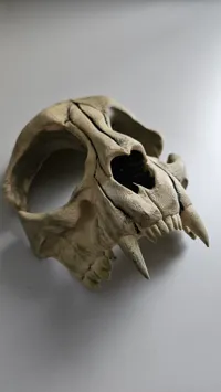 Masque tête de mort de chat — photo 3