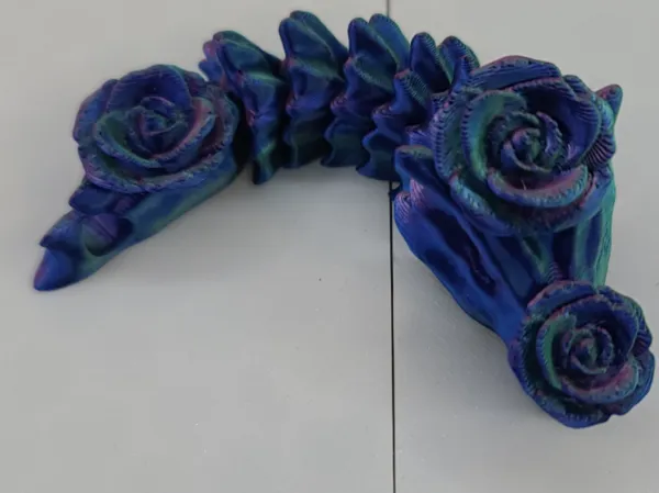 https://makerworld.bblmw.com/makerworld/model/US6d00e38d841e77/design/2024-05-14_028c43205dae1.jpg
