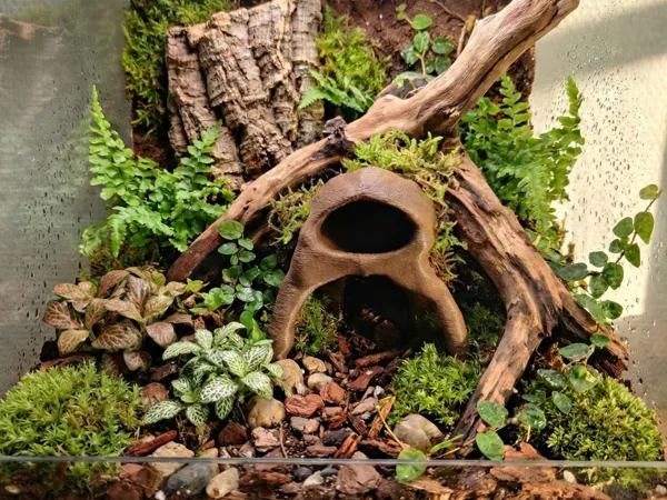 https://makerworld.bblmw.com/makerworld/model/US6d036166bbd443/design/6331a0314cf44e9a.png