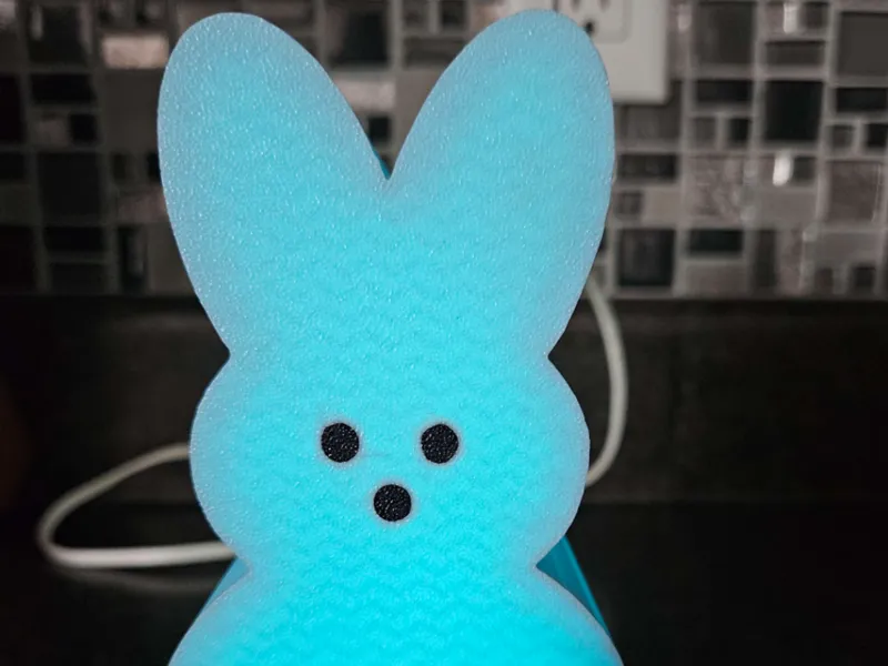 Bunny Light