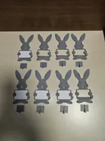 0.16mm layer, 2 walls, 15% infill