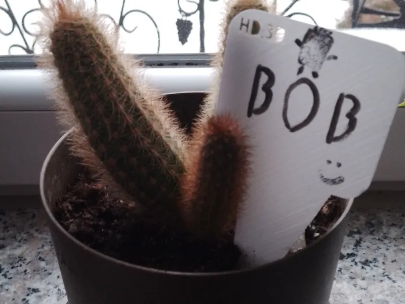 a board for naming plants