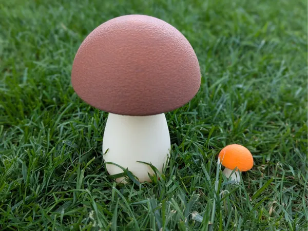 https://makerworld.bblmw.com/makerworld/model/US6d0fa4ca2ee7e7/design/2025-09-20_a713ad9c766508.jpg