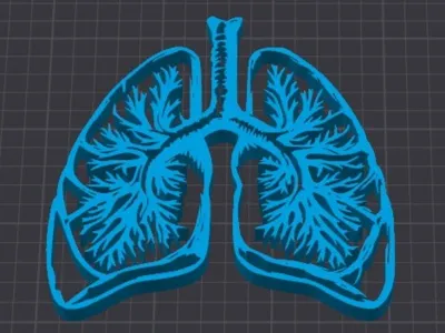 Lungs for Pulmonology Wall decor or on a stand