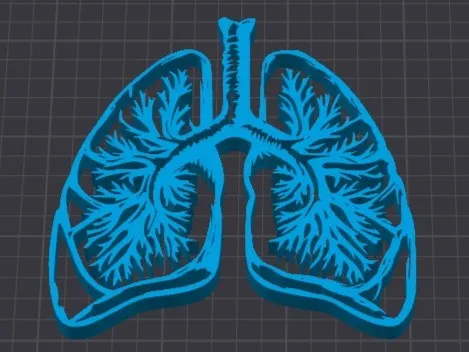 Lungs for Pulmonology Wall decor or on a stand