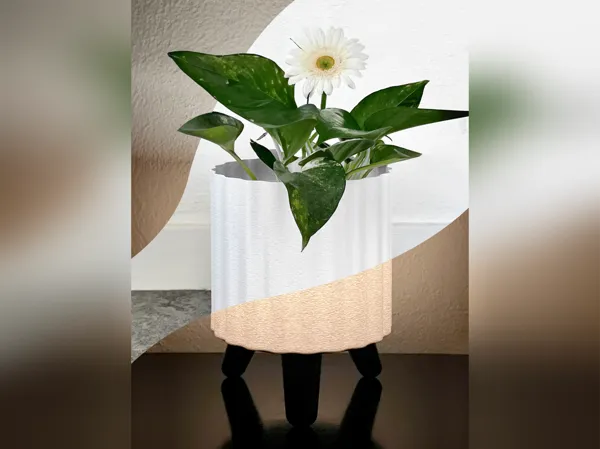 https://makerworld.bblmw.com/makerworld/model/US6d1758f405aba0/design/2025-05-10_f2a7b088da4bd8.jpg