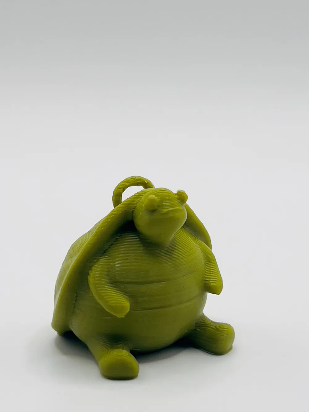 Grumpy Turtle / NotsoJelly by FlmanCreates - MakerWorld