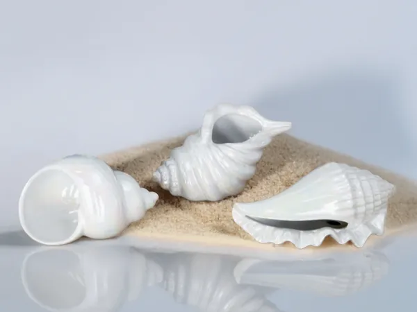 https://makerworld.bblmw.com/makerworld/model/US6d19b36202d155/design/2025-07-17_dc00459aac53d.png