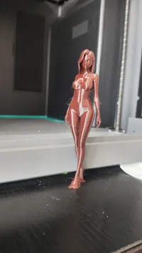 0.2mm layer, 2 walls, 5% infill
