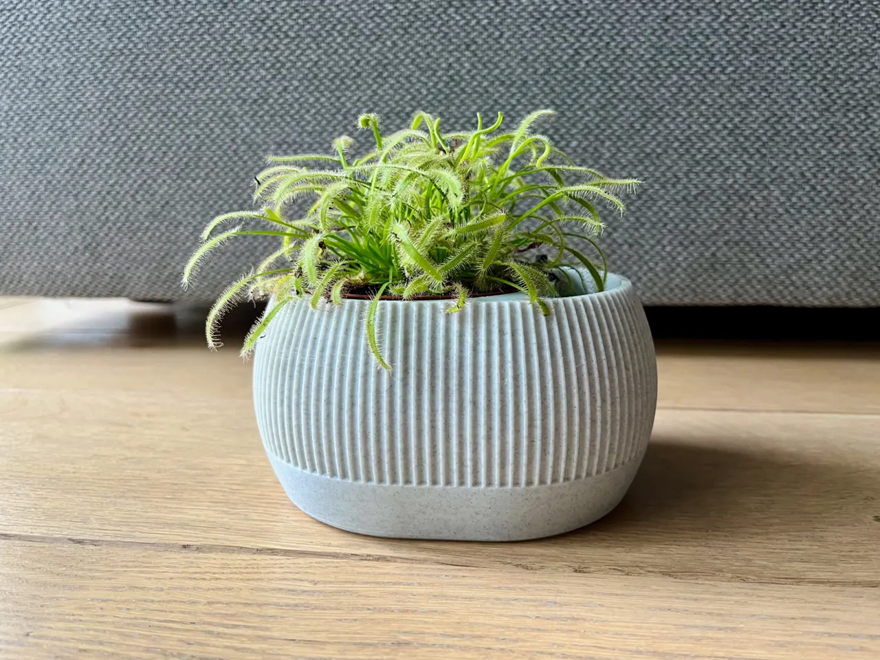 Self watering plant pot with water level indicator view 2