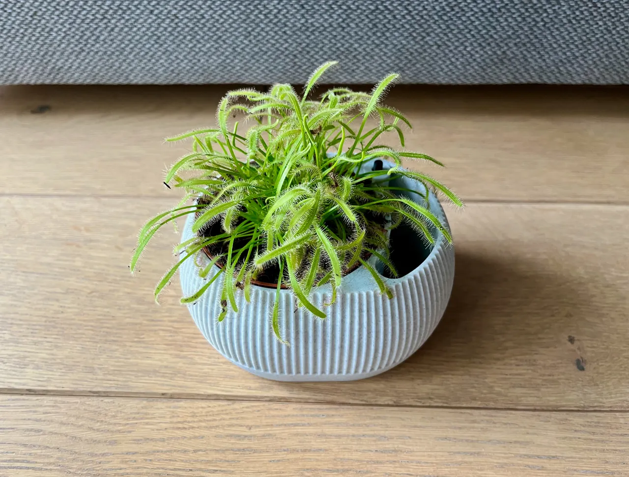 Self watering plant pot with water level indicator view 3