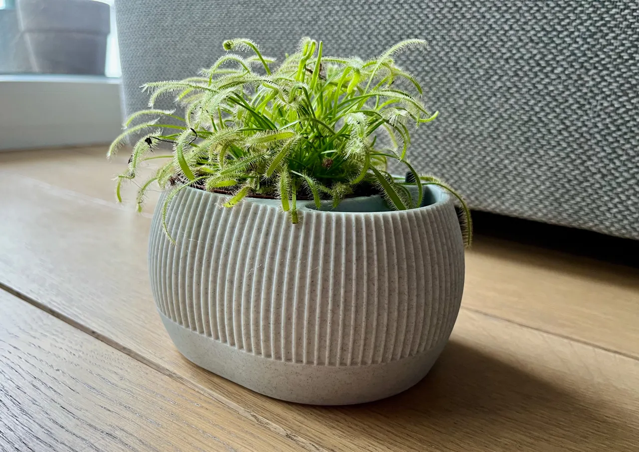 Self watering plant pot with water level indicator view 4