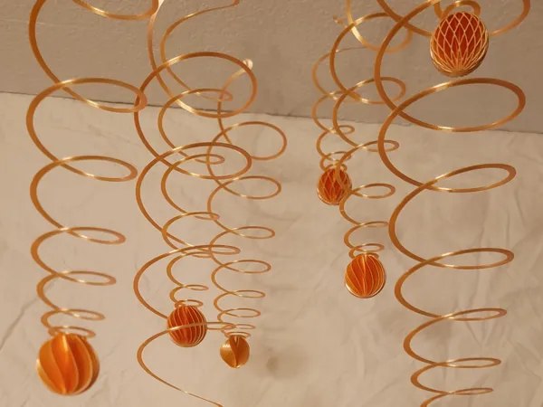 https://makerworld.bblmw.com/makerworld/model/US6d22cd27e8cd6f/design/2024-12-19_cd24722860154.jpg
