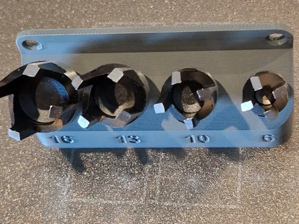 https://makerworld.bblmw.com/makerworld/model/US6d24743768451b/design/2025-05-30_a4e5a495947d3.jpg