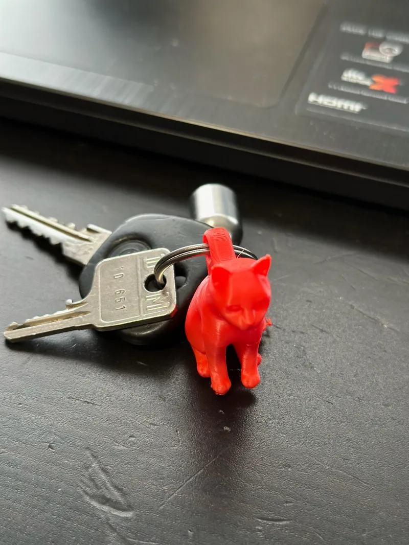 Cat Keychain Schlüsselanhänger Katze Keys