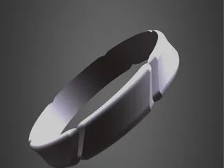 Ring 2025