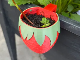 Strawberry Runner Planter Cup - NO AMS