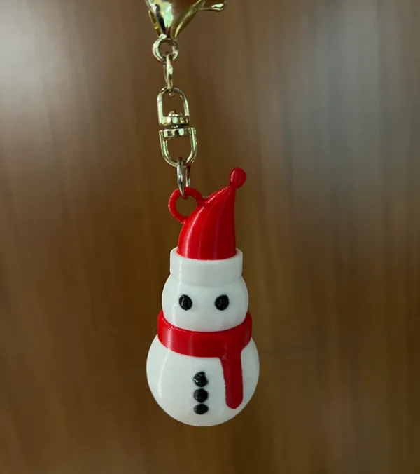 https://makerworld.bblmw.com/makerworld/model/US6d2cd3a4957c12/design/2024-11-24_7aa58af73dee.jpg