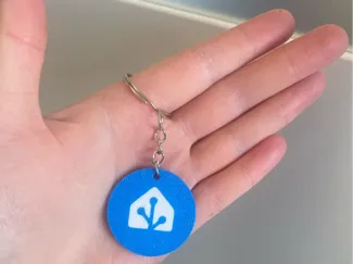 Home Assistant NFC Keychain