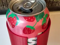 Standard can size