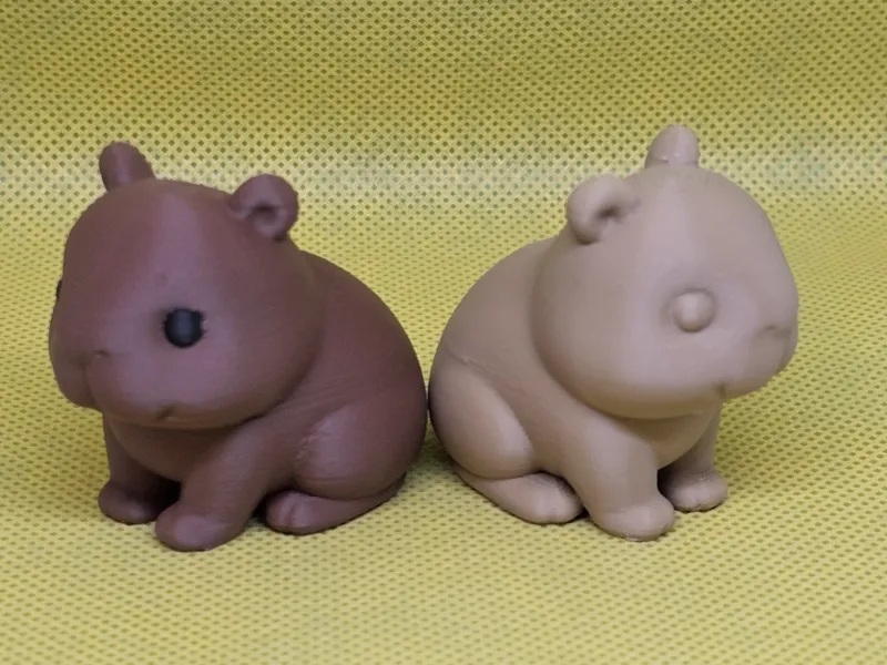 Cute Little Capybara