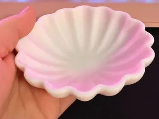 Clam Shell Bowl