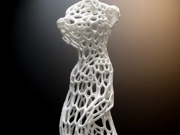 https://makerworld.bblmw.com/makerworld/model/US6d39c12614e52b/design/2025-02-16_e4c38969910ef.jpg