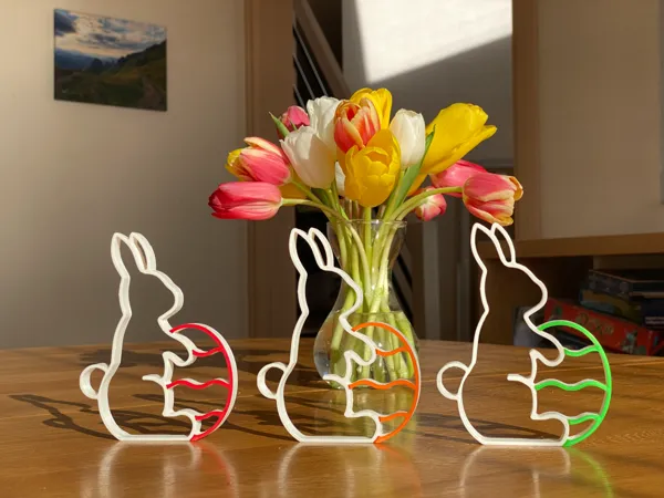 https://makerworld.bblmw.com/makerworld/model/US6d3a4ffa279b9e/design/2024-03-11_4d9e52b819536.jpeg