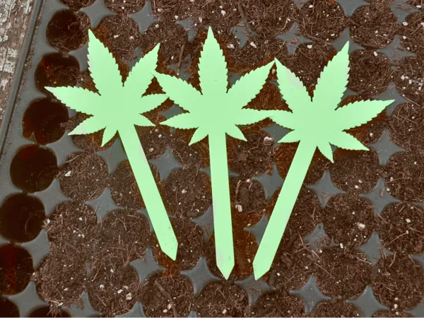 https://makerworld.bblmw.com/makerworld/model/US6d3b3413d60b/design/2025-04-25_568ff8384ce6a8.jpg